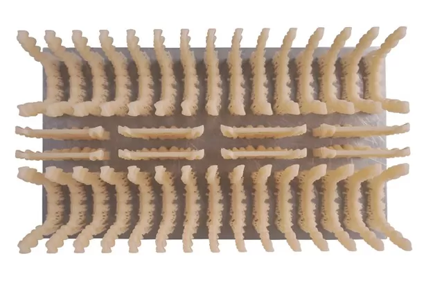 一時的なクラウン