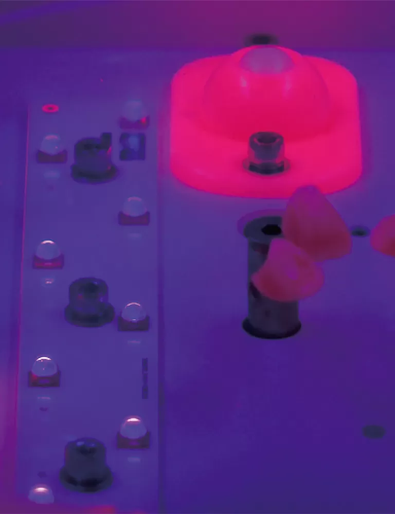 RAYSHAPEプロフェッショナルな後処理ソリューションで3Dプリントを向上させる