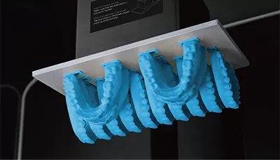 モデルWWレジン