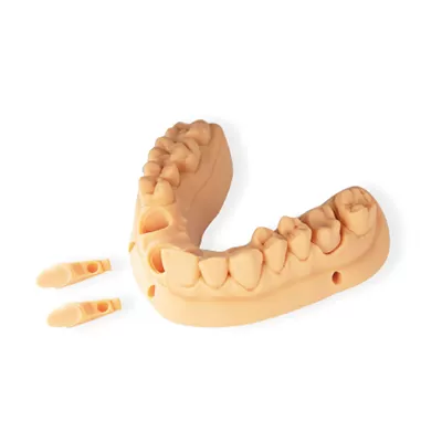 モデルProオレンジ樹脂