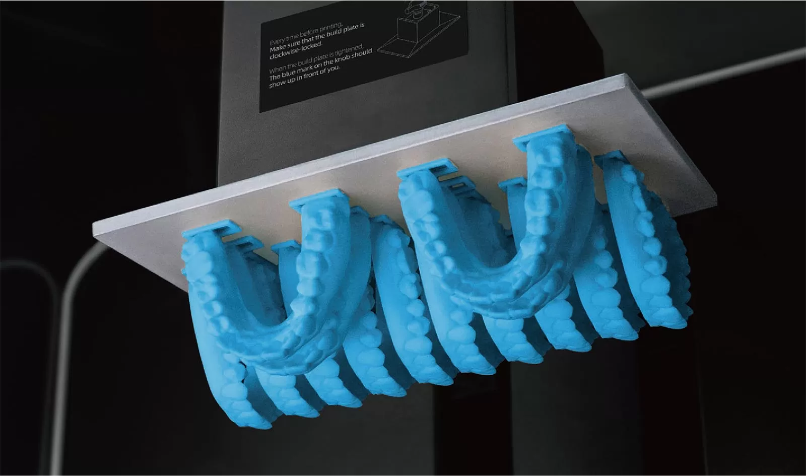 モデルWWレジン